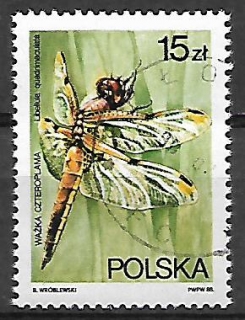 Polsko u Mi 3136