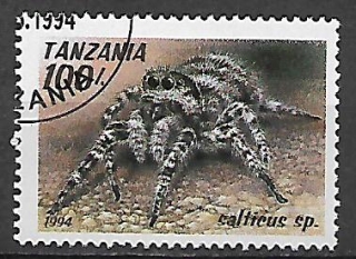 Tanzanie u Mi 1800