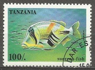 Tanzanie u Mi 2034