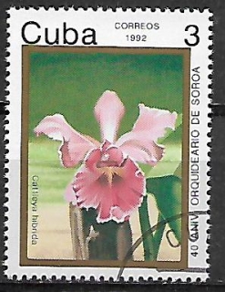 Kuba u Mi  3583