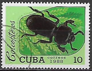 Kuba u Mi  3196
