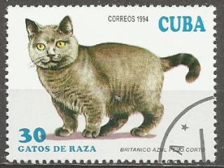 Kuba u Mi  3733
