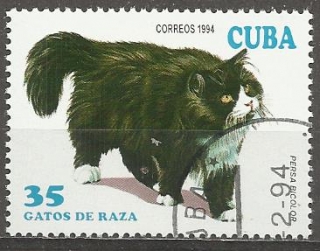 Kuba u Mi  3734