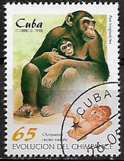 Kuba u Mi  4109
