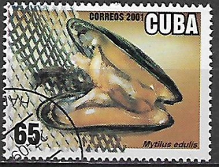 Kuba u Mi  4369