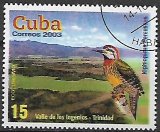 Kuba u Mi  4550