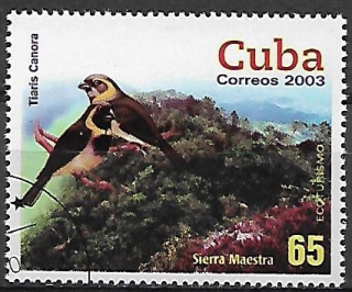 Kuba u Mi  4551