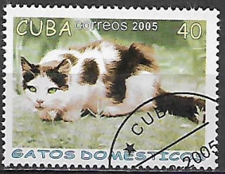 Kuba u Mi  4702