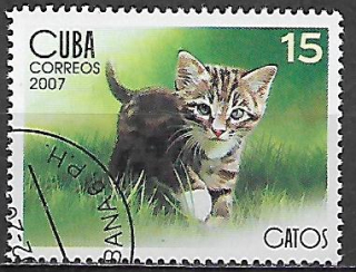 Kuba u Mi  4898