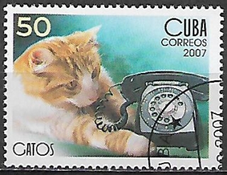 Kuba u Mi  4900