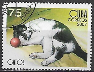 Kuba u Mi  4901