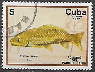 Kuba u Mi  2204