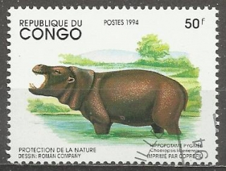 Kongo u Mi  1421