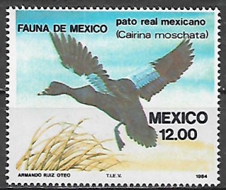 Mexiko N Mi 1893