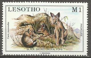 Lesotho N Mi 0494